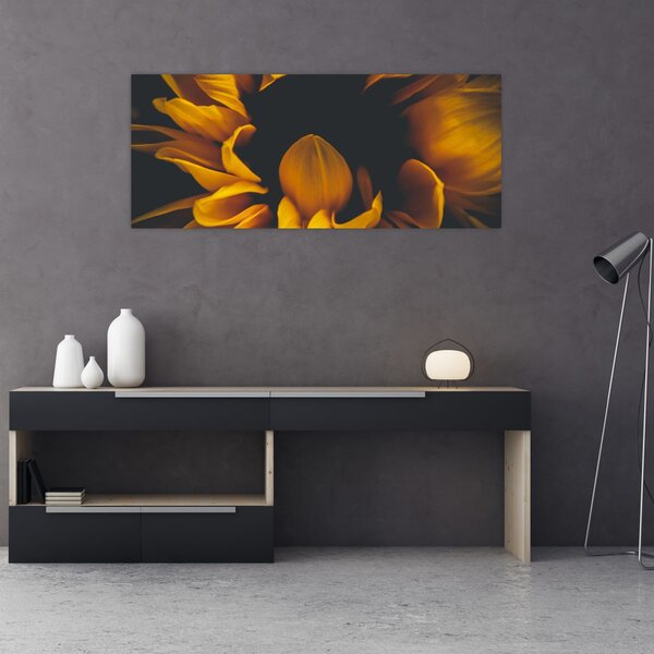 Kép - Napraforgó fekete háttérben (120x50 cm)