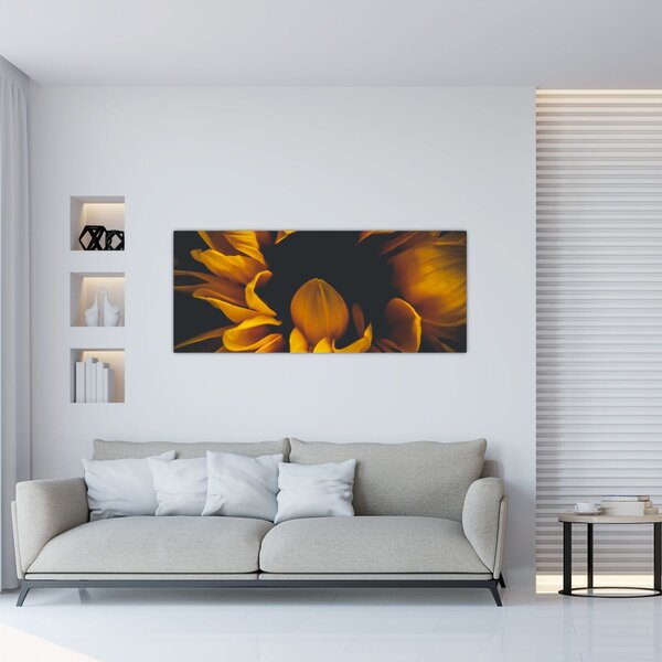 Kép - Napraforgó fekete háttérben (120x50 cm)