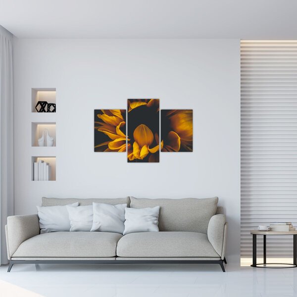 Kép - Napraforgó fekete háttérben (90x60 cm)