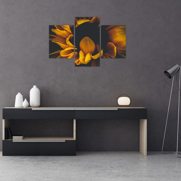 Kép - Napraforgó fekete háttérben (90x60 cm)