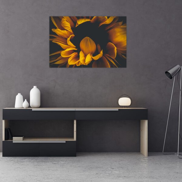 Kép - Napraforgó fekete háttérben (90x60 cm)