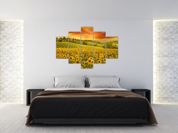 Kép - Napraforgó mező (150x105 cm)