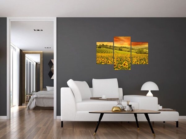 Kép - Napraforgó mező (90x60 cm)