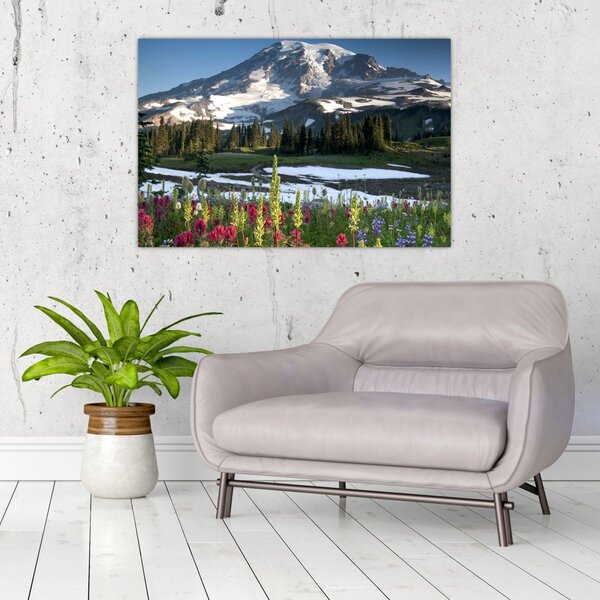 Kép - Mount Rainier (90x60 cm)