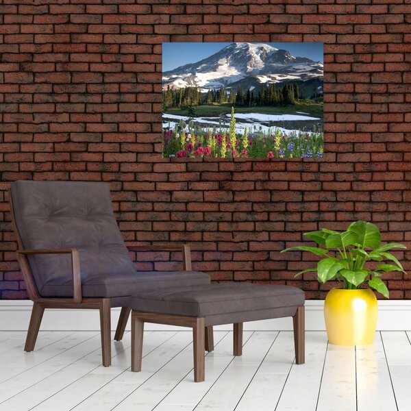 Kép - Mount Rainier (70x50 cm)