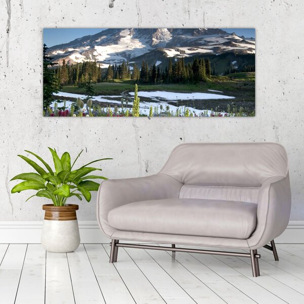 Kép - Mount Rainier (120x50 cm)