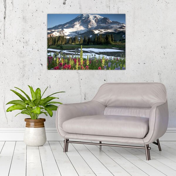 Kép - Mount Rainier (70x50 cm)