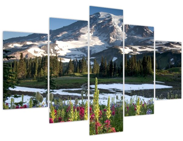 Kép - Mount Rainier (150x105 cm)