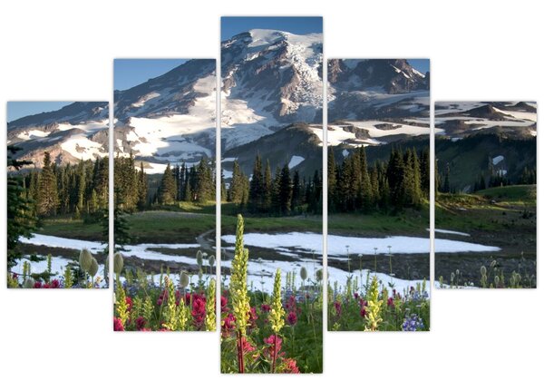 Kép - Mount Rainier (150x105 cm)