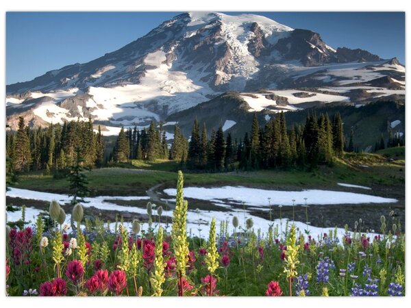 Kép - Mount Rainier (70x50 cm)