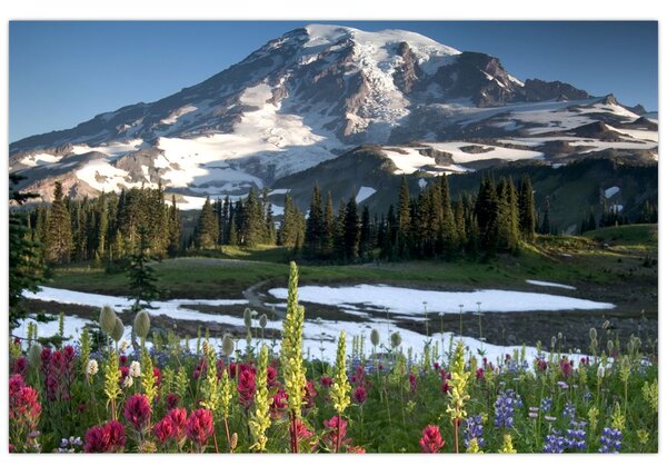 Kép - Mount Rainier (90x60 cm)
