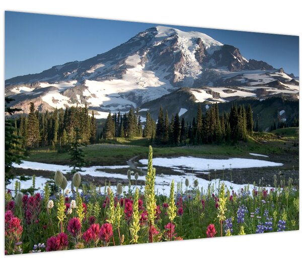 Kép - Mount Rainier (90x60 cm)