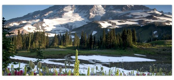 Kép - Mount Rainier (120x50 cm)