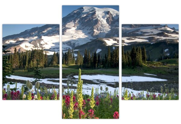 Kép - Mount Rainier (90x60 cm)