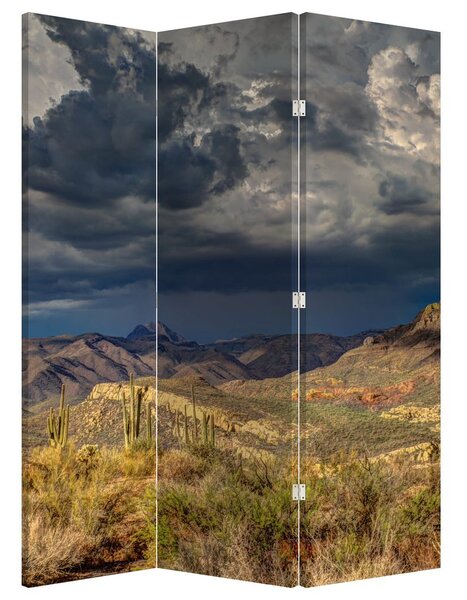 Paraván - kaktuszok a természetben (126x170 cm)