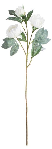 FLORISTA pünkösdi rózsa, fehér 90cm