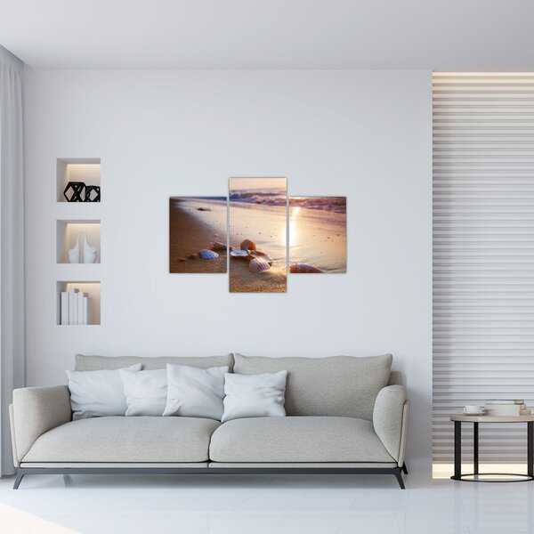 Kép - Kagyló (90x60 cm)
