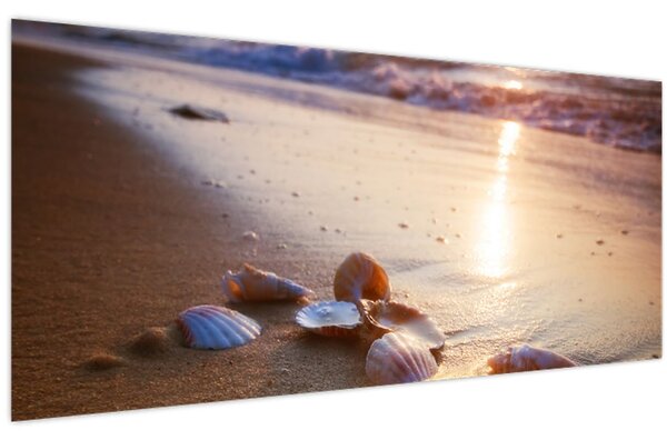 Kép - Kagyló (120x50 cm)