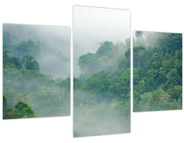 Kép - Reggeli köd (90x60 cm)