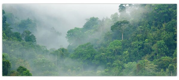 Kép - Reggeli köd (120x50 cm)