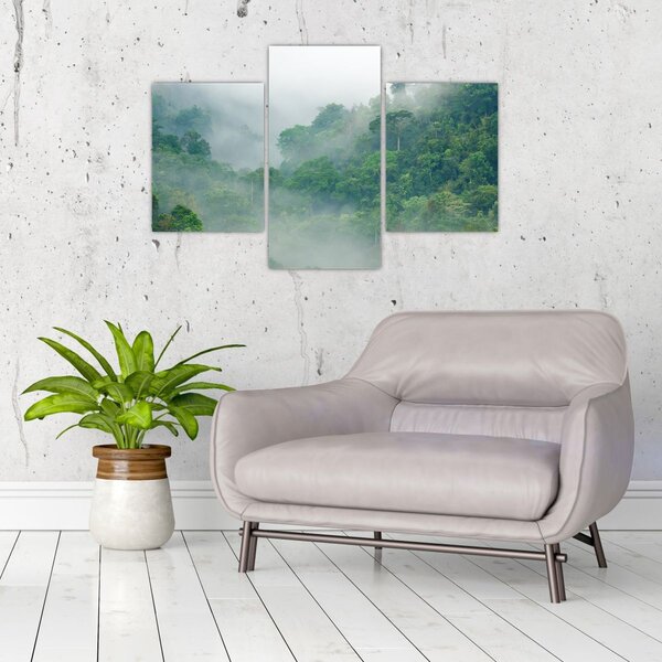 Kép - Reggeli köd (90x60 cm)