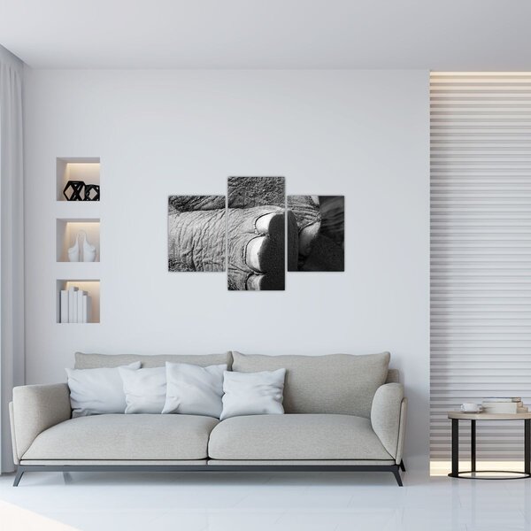 Kép - Elefánt láb (90x60 cm)