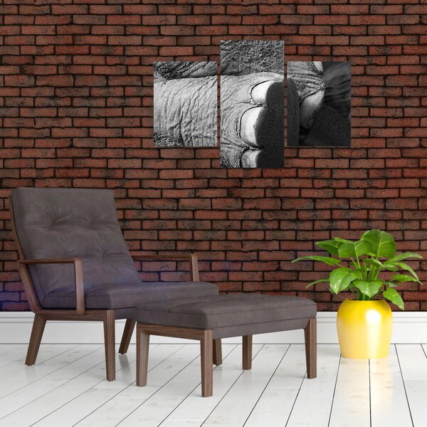 Kép - Elefánt láb (90x60 cm)