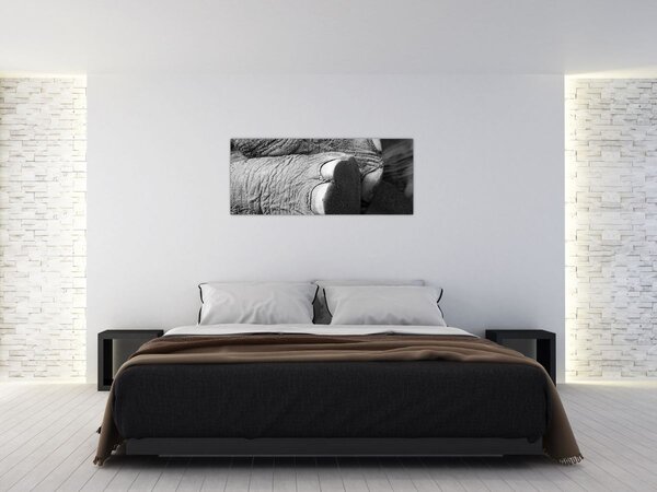 Kép - Elefánt láb (120x50 cm)