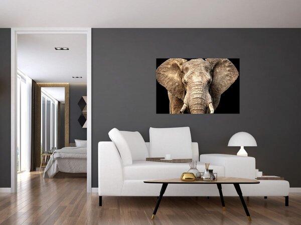 Kép - Afrikai elefánt (90x60 cm)