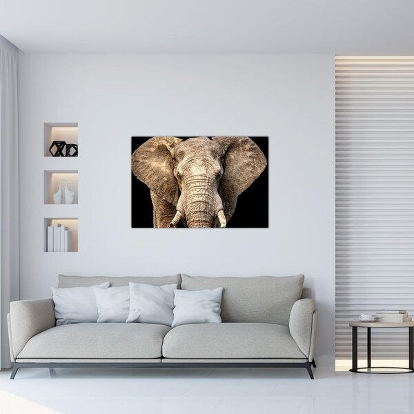 Kép - Afrikai elefánt (90x60 cm)