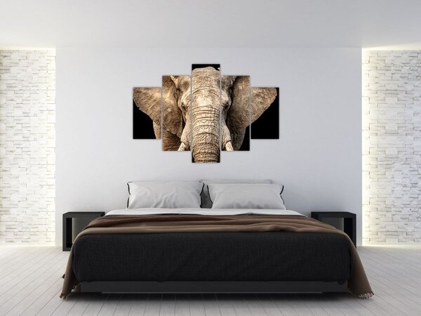 Kép - Afrikai elefánt (150x105 cm)