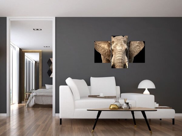 Kép - Afrikai elefánt (90x60 cm)