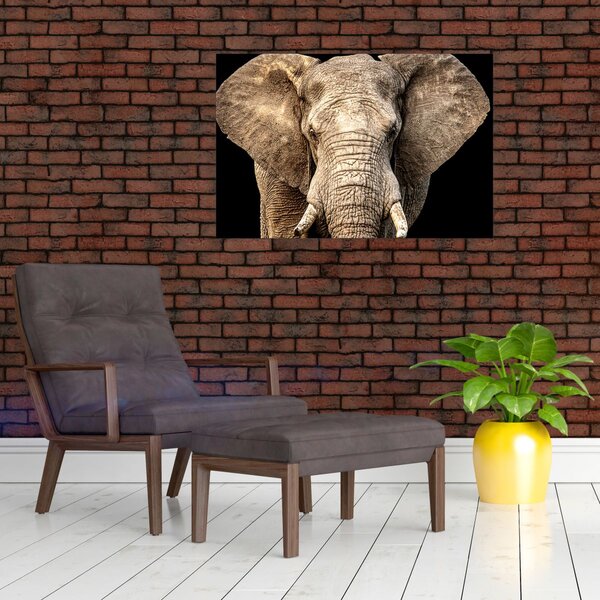 Kép - Afrikai elefánt (90x60 cm)