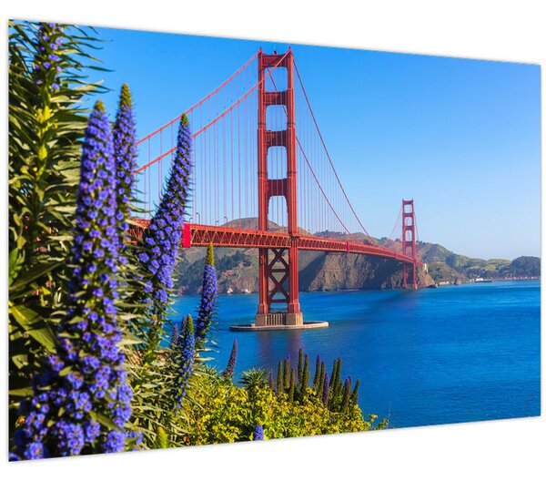 Kép - Golden Gate híd, San Francisco (90x60 cm)