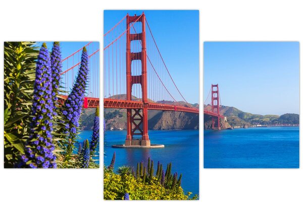 Kép - Golden Gate híd, San Francisco (90x60 cm)