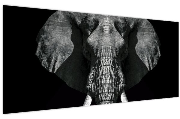 Kép - Elefánt fekete háttérrel (120x50 cm)