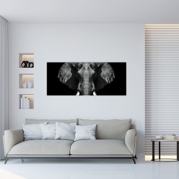 Kép - Elefánt fekete háttérrel (120x50 cm)