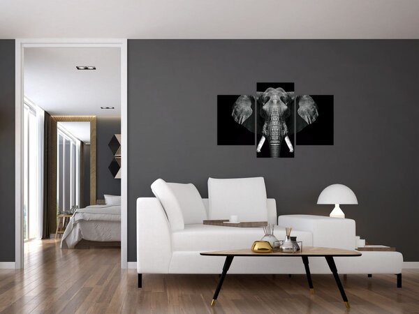 Kép - Elefánt fekete háttérrel (90x60 cm)
