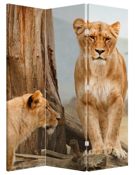 Paraván - két oroszlán (126x170 cm)