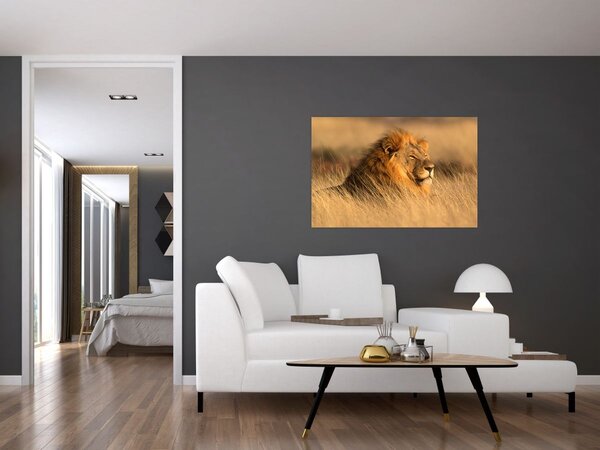 Kép - Etosha Nemzeti Park (90x60 cm)