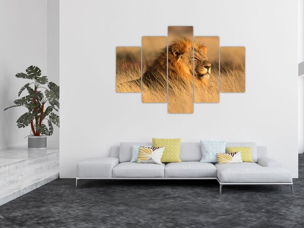Kép - Etosha Nemzeti Park (150x105 cm)