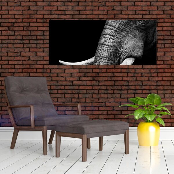 Kép - Elefánt agyar (120x50 cm)