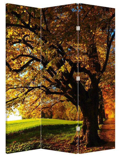 Paraván - őszi fa (126x170 cm)