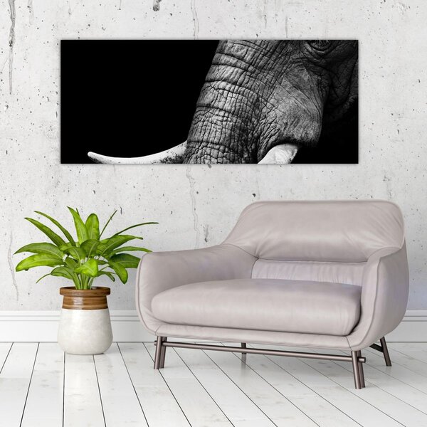 Kép - Elefánt agyar (120x50 cm)