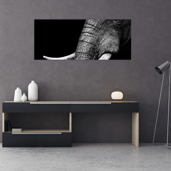 Kép - Elefánt agyar (120x50 cm)
