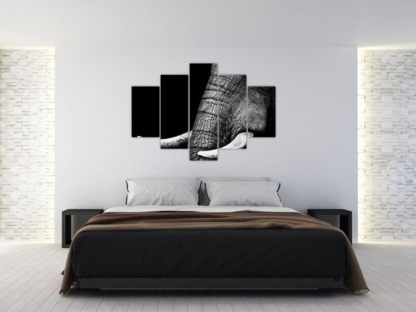 Kép - Elefánt agyar (150x105 cm)
