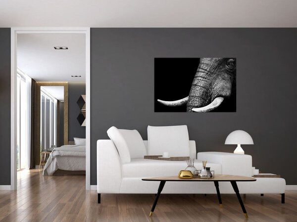 Kép - Elefánt agyar (90x60 cm)