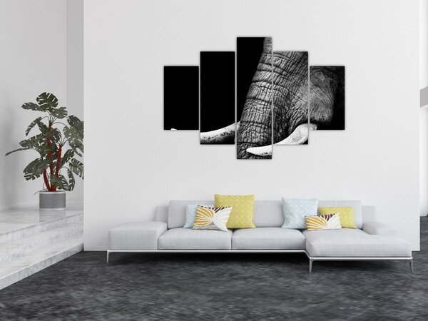 Kép - Elefánt agyar (150x105 cm)