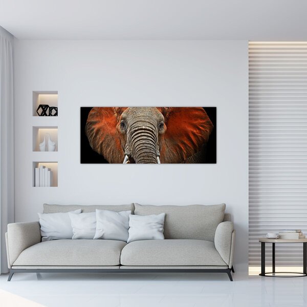 Kép - Elefántok Tsavóval (120x50 cm)