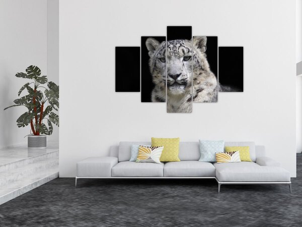 Kép - Snow Leopard (150x105 cm)